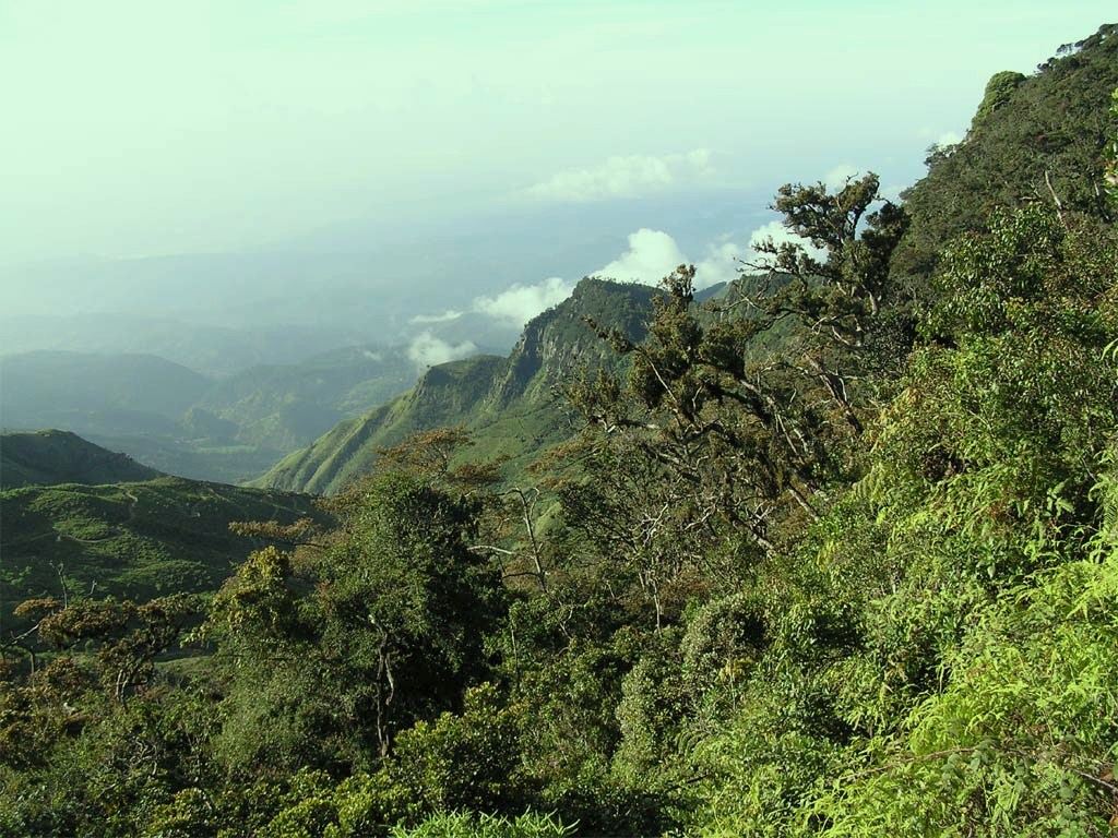 Horton Plains Trek